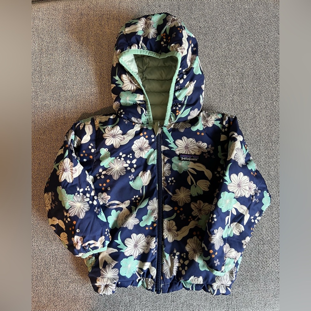 Patagonia Reversible Hooded Jacket